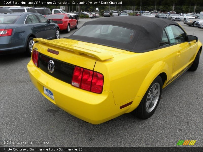 Screaming Yellow / Dark Charcoal 2005 Ford Mustang V6 Premium Convertible
