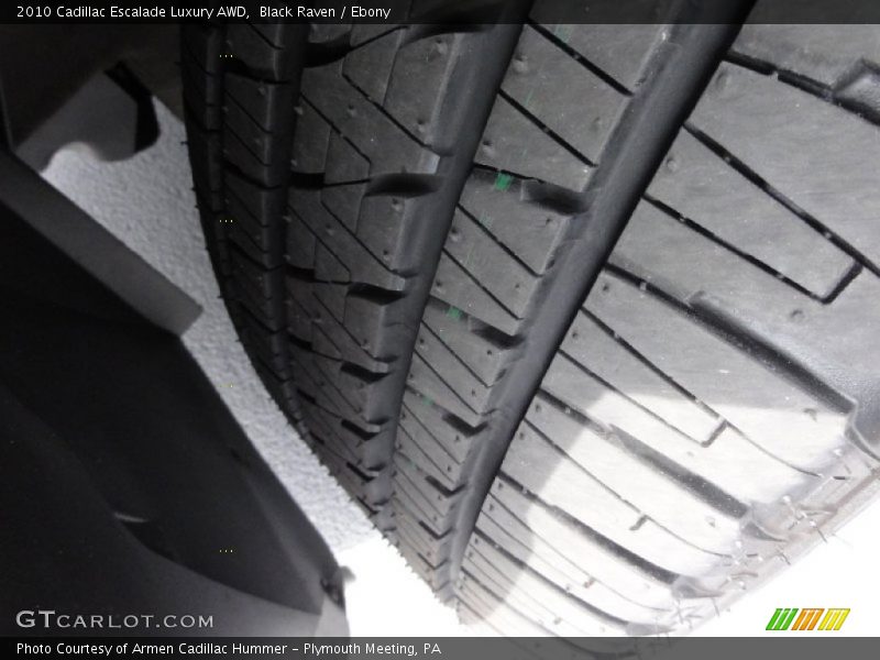 Black Raven / Ebony 2010 Cadillac Escalade Luxury AWD