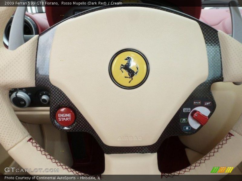 Controls of 2009 599 GTB Fiorano 