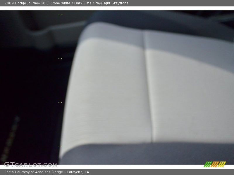 Stone White / Dark Slate Gray/Light Graystone 2009 Dodge Journey SXT