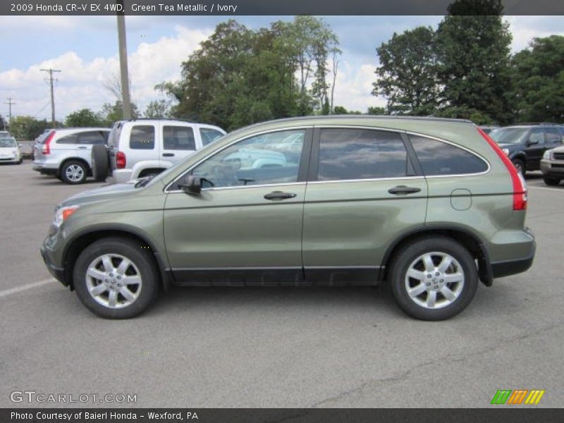 Green Tea Metallic / Ivory 2009 Honda CR-V EX 4WD