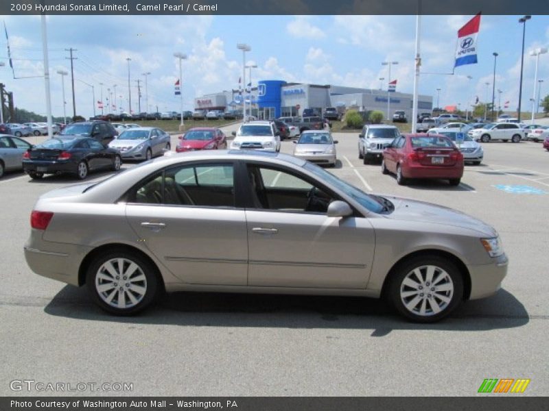 Camel Pearl / Camel 2009 Hyundai Sonata Limited