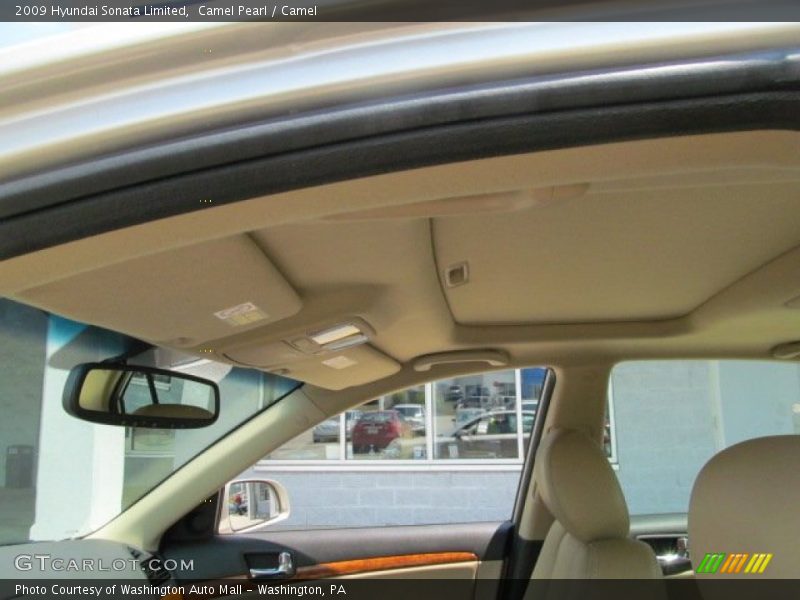 Camel Pearl / Camel 2009 Hyundai Sonata Limited