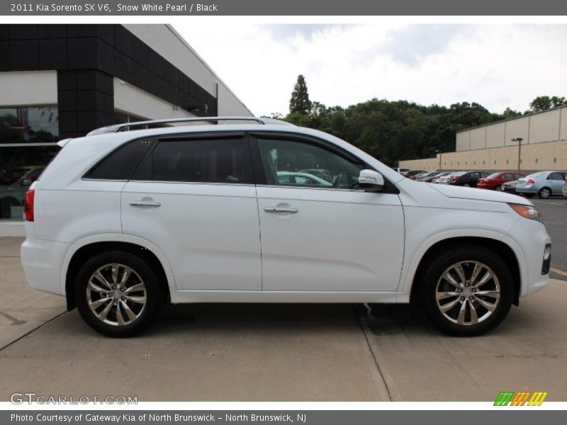 Snow White Pearl / Black 2011 Kia Sorento SX V6