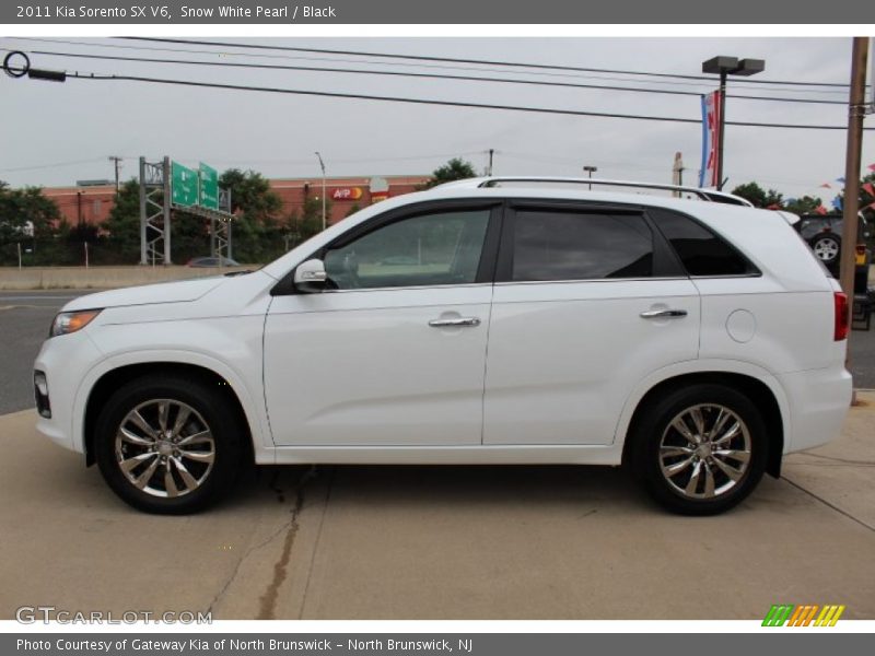 Snow White Pearl / Black 2011 Kia Sorento SX V6