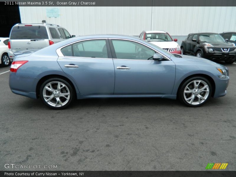 Ocean Gray / Charcoal 2011 Nissan Maxima 3.5 SV