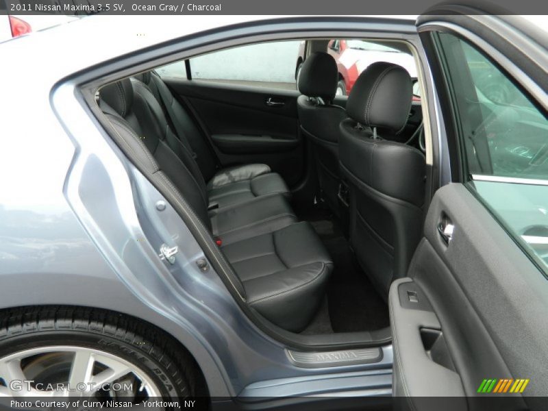 Ocean Gray / Charcoal 2011 Nissan Maxima 3.5 SV