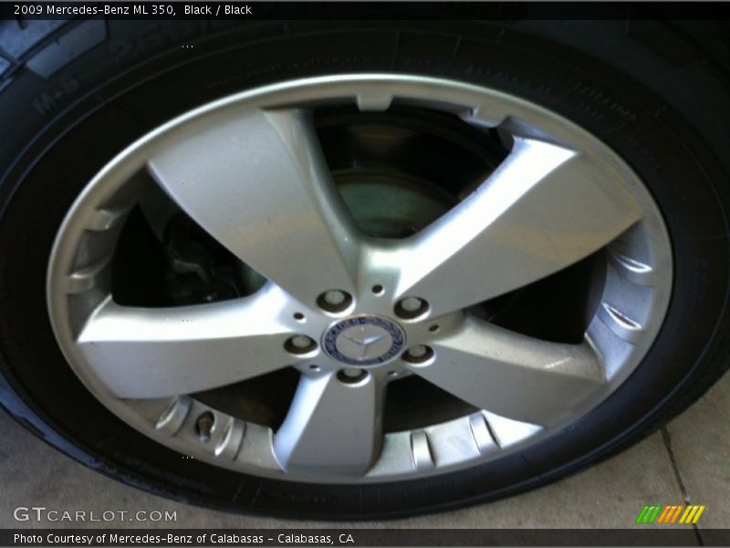 Black / Black 2009 Mercedes-Benz ML 350