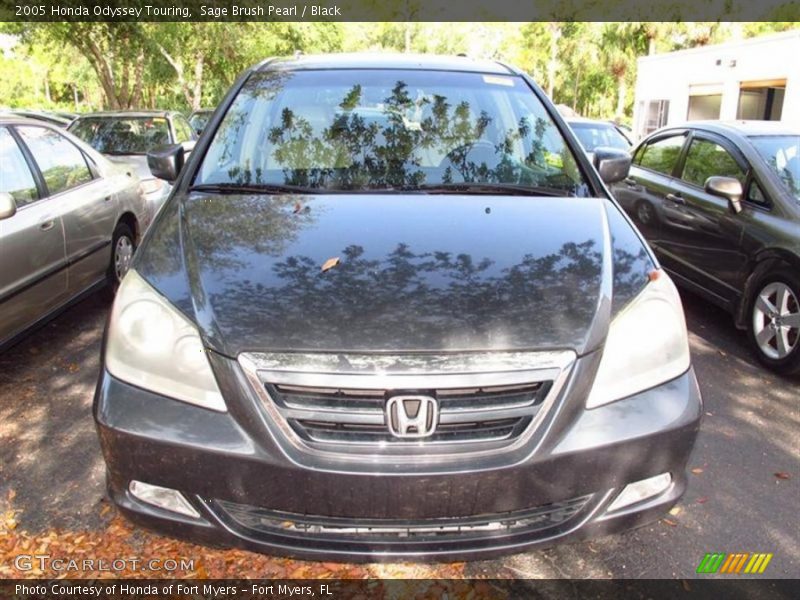 Sage Brush Pearl / Black 2005 Honda Odyssey Touring
