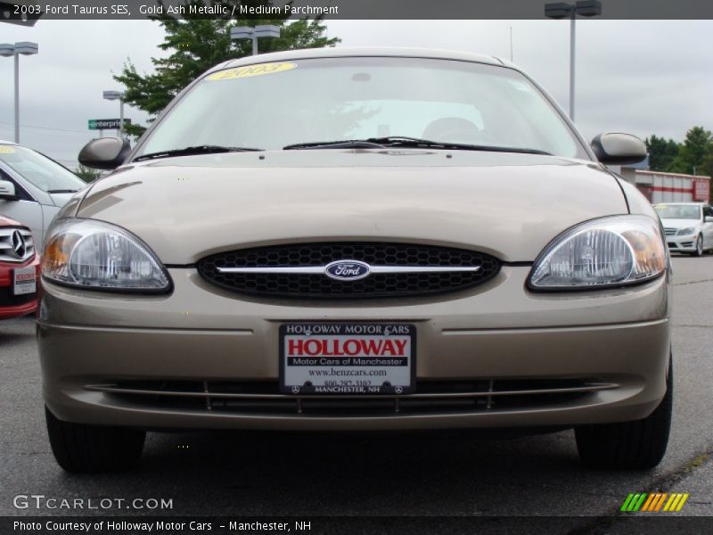Gold Ash Metallic / Medium Parchment 2003 Ford Taurus SES