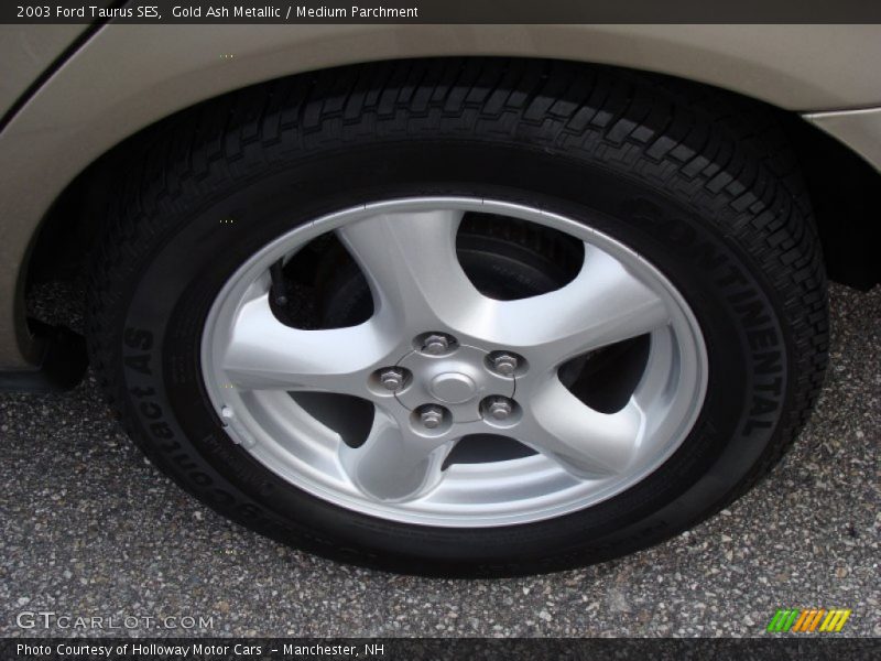 Gold Ash Metallic / Medium Parchment 2003 Ford Taurus SES