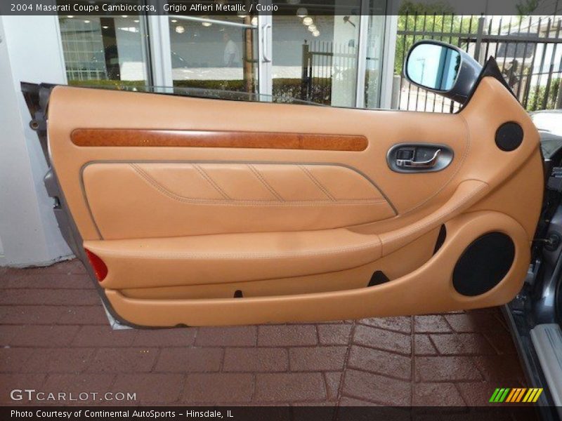 Door Panel of 2004 Coupe Cambiocorsa