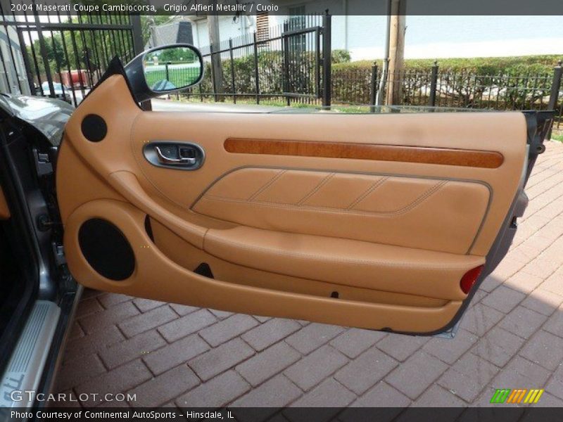 Door Panel of 2004 Coupe Cambiocorsa