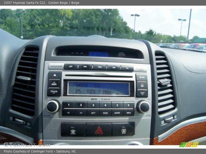 Golden Beige / Beige 2007 Hyundai Santa Fe GLS