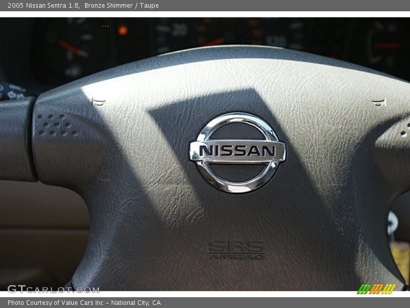 Bronze Shimmer / Taupe 2005 Nissan Sentra 1.8