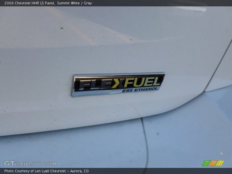 Summit White / Gray 2009 Chevrolet HHR LS Panel