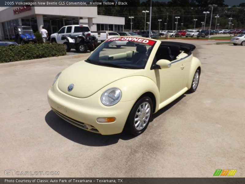 Mellow Yellow / Black 2005 Volkswagen New Beetle GLS Convertible
