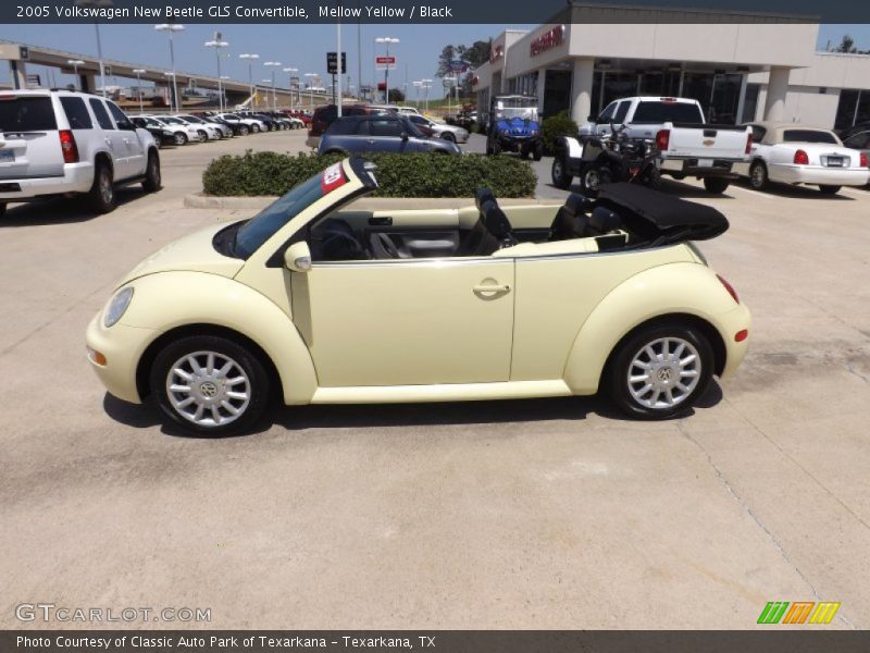 Mellow Yellow / Black 2005 Volkswagen New Beetle GLS Convertible