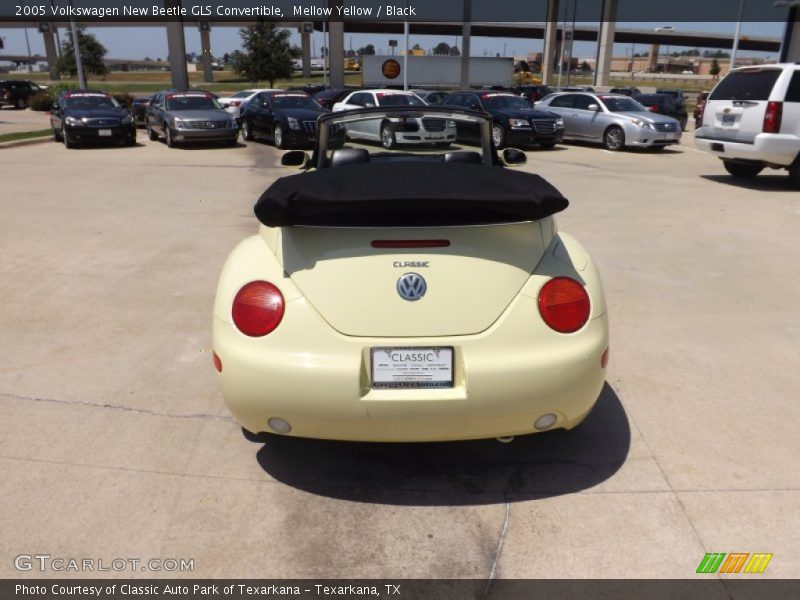 Mellow Yellow / Black 2005 Volkswagen New Beetle GLS Convertible