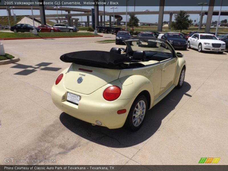 Mellow Yellow / Black 2005 Volkswagen New Beetle GLS Convertible