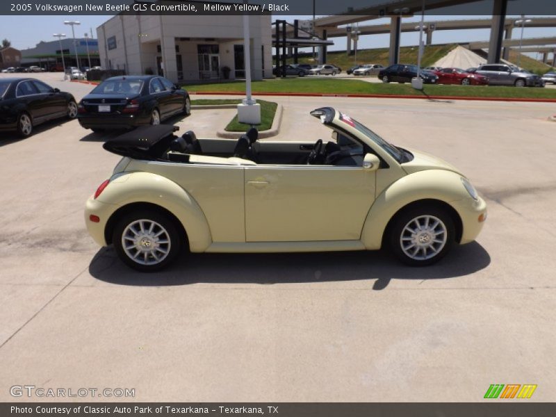 Mellow Yellow / Black 2005 Volkswagen New Beetle GLS Convertible