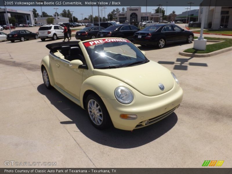 Mellow Yellow / Black 2005 Volkswagen New Beetle GLS Convertible