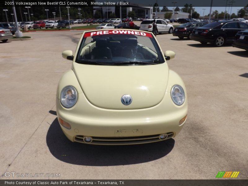 Mellow Yellow / Black 2005 Volkswagen New Beetle GLS Convertible