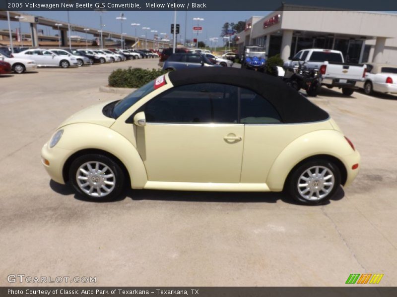 Mellow Yellow / Black 2005 Volkswagen New Beetle GLS Convertible