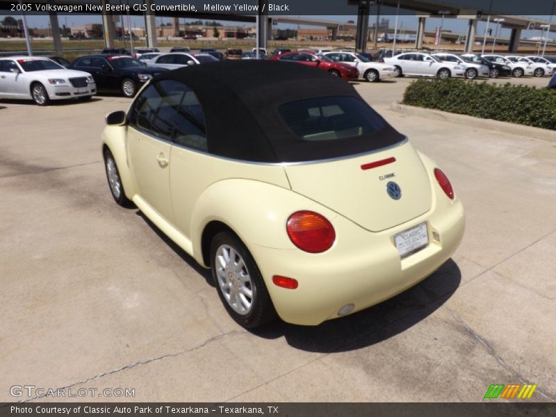 Mellow Yellow / Black 2005 Volkswagen New Beetle GLS Convertible