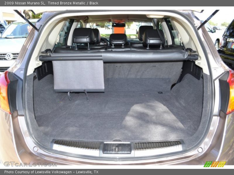 Tinted Bronze Metallic / Black 2009 Nissan Murano SL