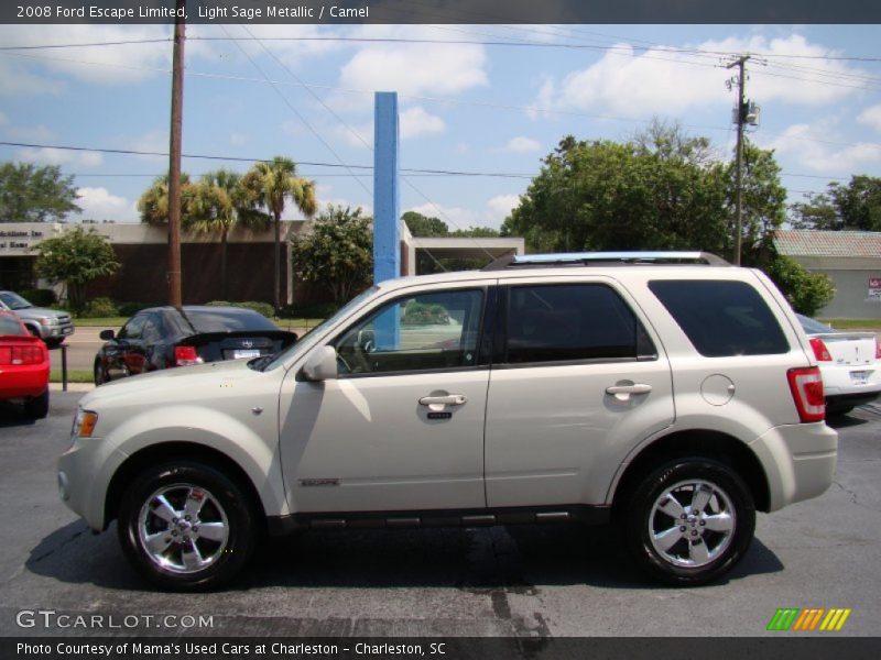 Light Sage Metallic / Camel 2008 Ford Escape Limited