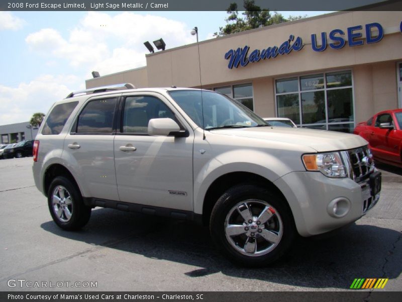 Light Sage Metallic / Camel 2008 Ford Escape Limited