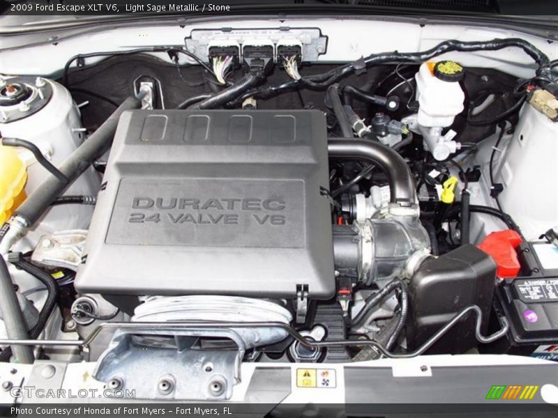 Light Sage Metallic / Stone 2009 Ford Escape XLT V6