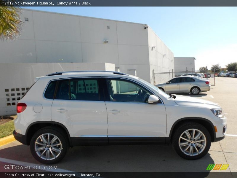 Candy White / Black 2012 Volkswagen Tiguan SE