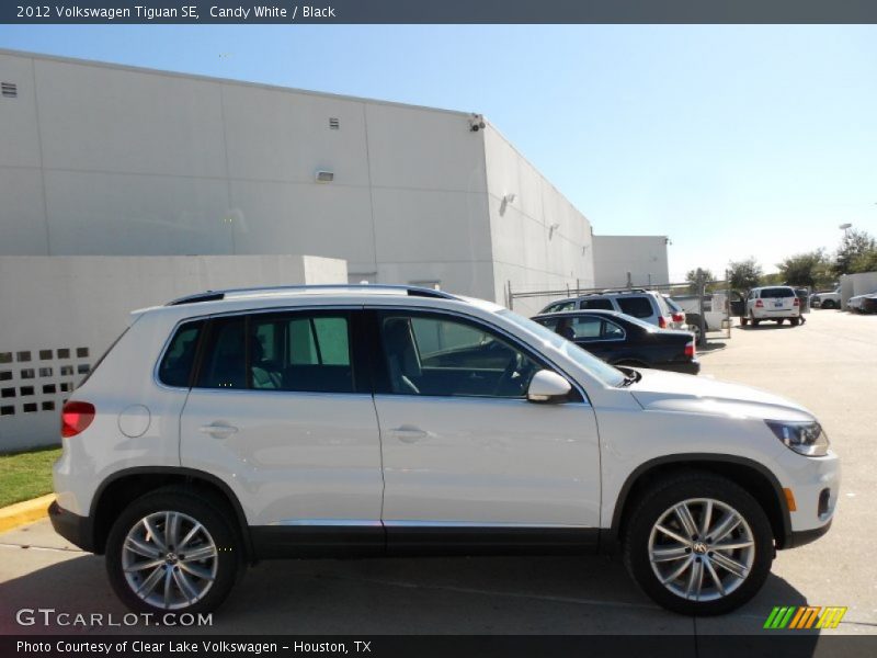 Candy White / Black 2012 Volkswagen Tiguan SE