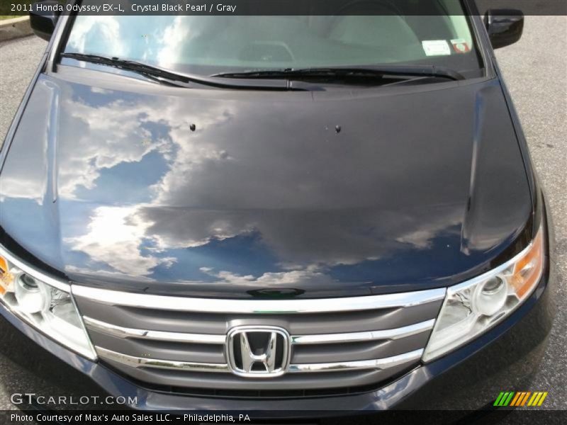 Crystal Black Pearl / Gray 2011 Honda Odyssey EX-L