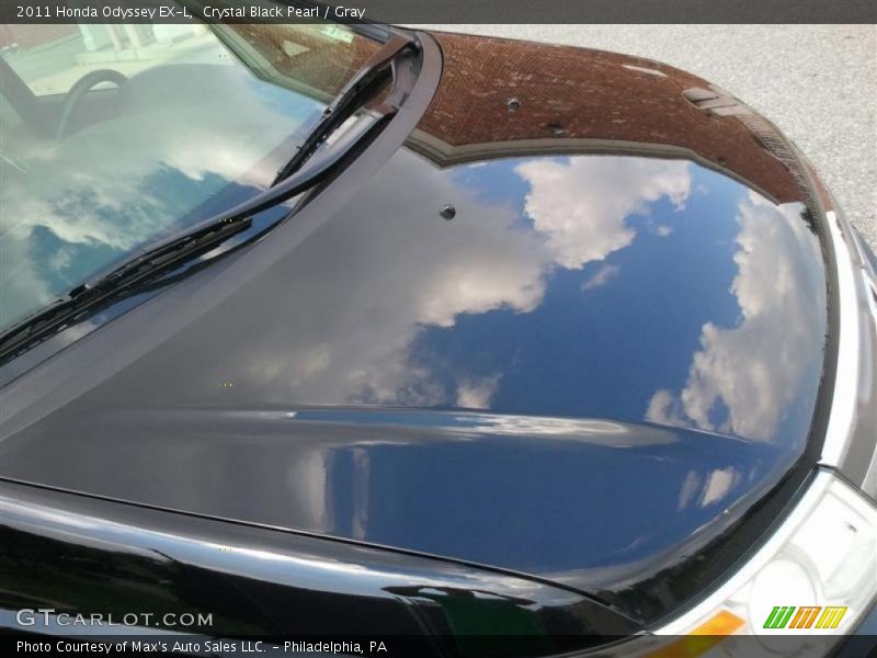 Crystal Black Pearl / Gray 2011 Honda Odyssey EX-L