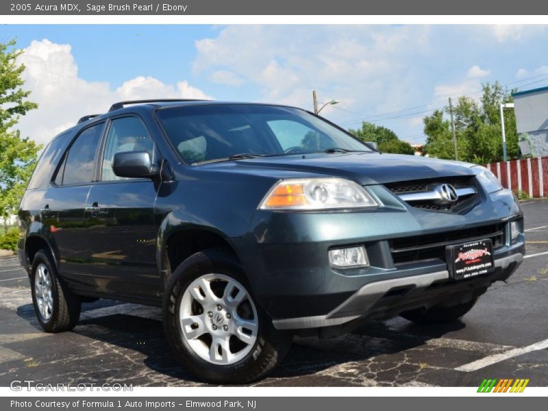 Sage Brush Pearl / Ebony 2005 Acura MDX