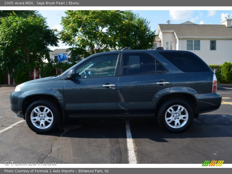 Sage Brush Pearl / Ebony 2005 Acura MDX