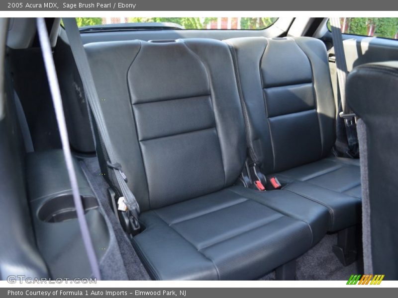 Sage Brush Pearl / Ebony 2005 Acura MDX