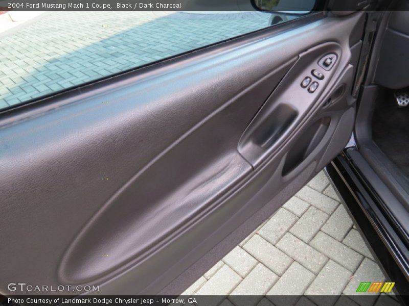 Door Panel of 2004 Mustang Mach 1 Coupe
