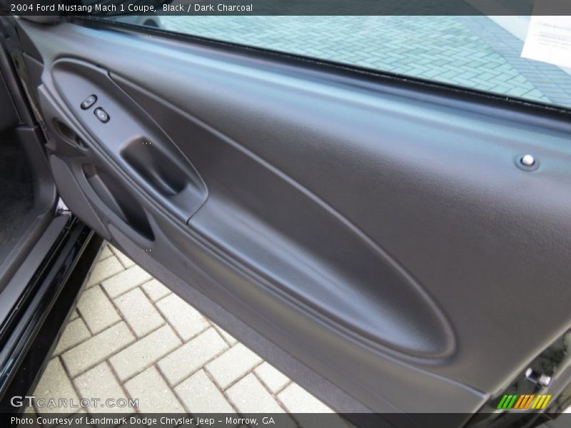 Door Panel of 2004 Mustang Mach 1 Coupe