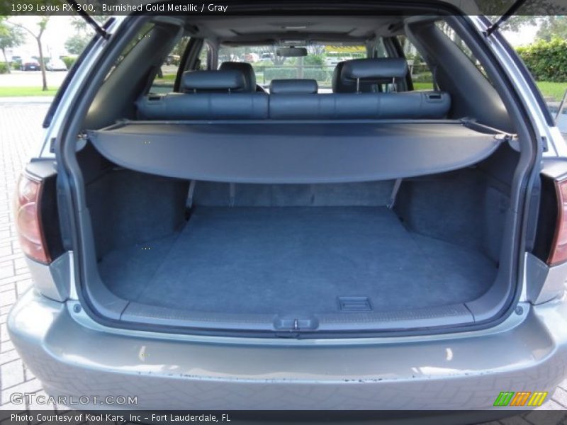 Burnished Gold Metallic / Gray 1999 Lexus RX 300