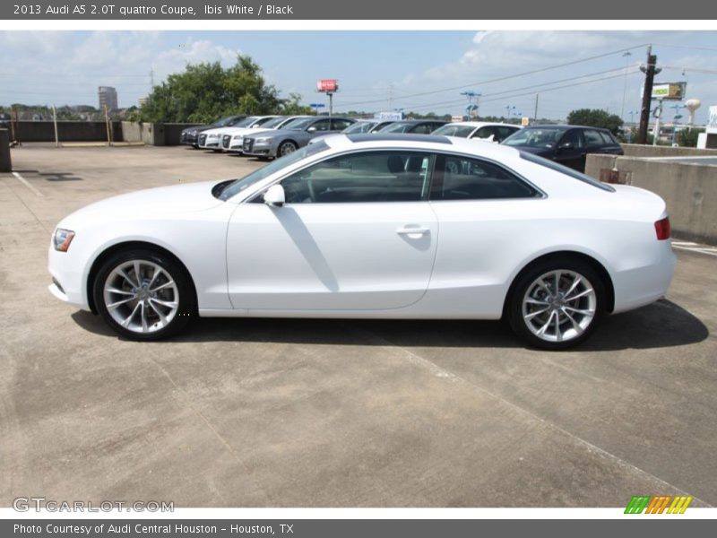 Ibis White / Black 2013 Audi A5 2.0T quattro Coupe