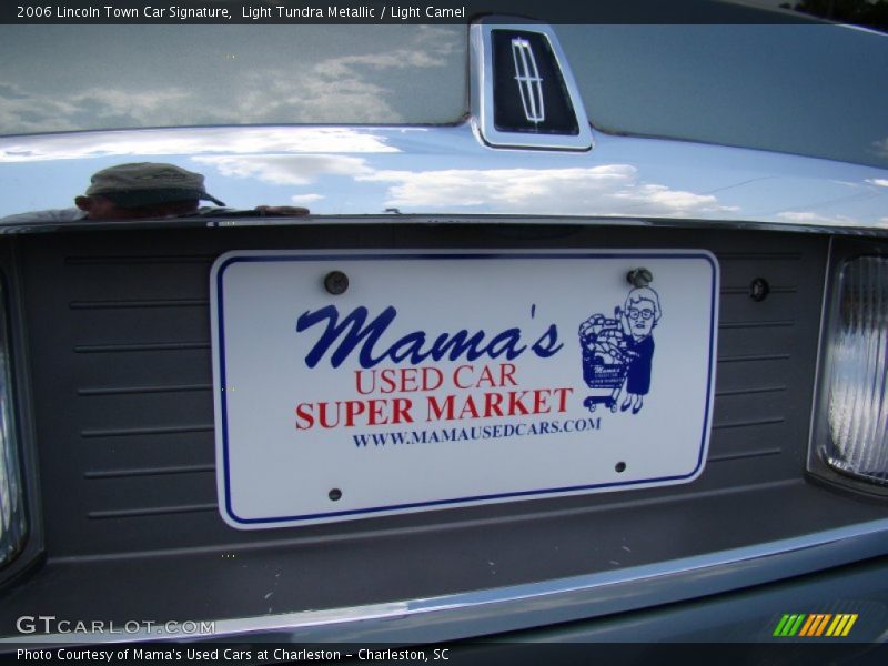 Light Tundra Metallic / Light Camel 2006 Lincoln Town Car Signature