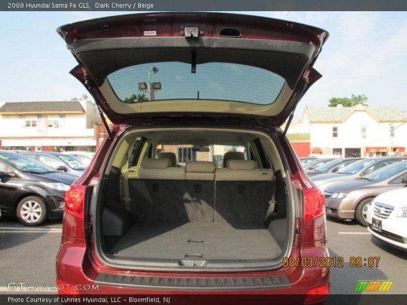 Dark Cherry / Beige 2009 Hyundai Santa Fe GLS