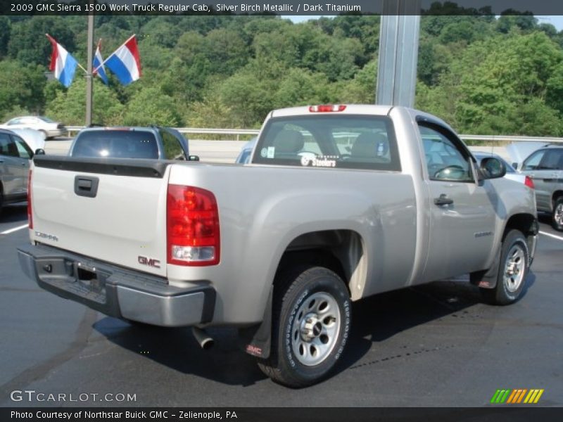 Silver Birch Metallic / Dark Titanium 2009 GMC Sierra 1500 Work Truck Regular Cab