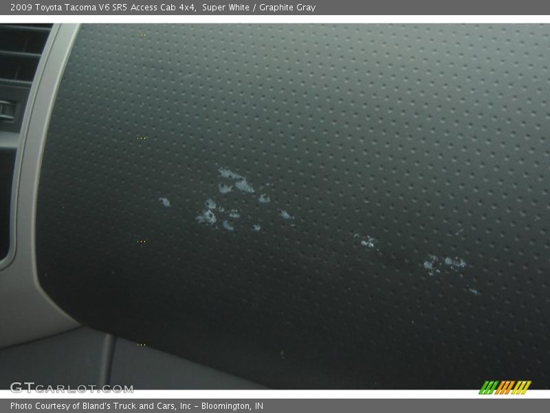 Super White / Graphite Gray 2009 Toyota Tacoma V6 SR5 Access Cab 4x4