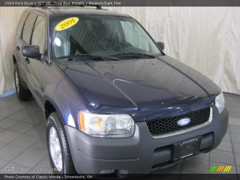 True Blue Metallic / Medium/Dark Flint 2004 Ford Escape XLT V6