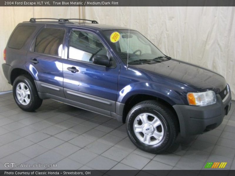 True Blue Metallic / Medium/Dark Flint 2004 Ford Escape XLT V6
